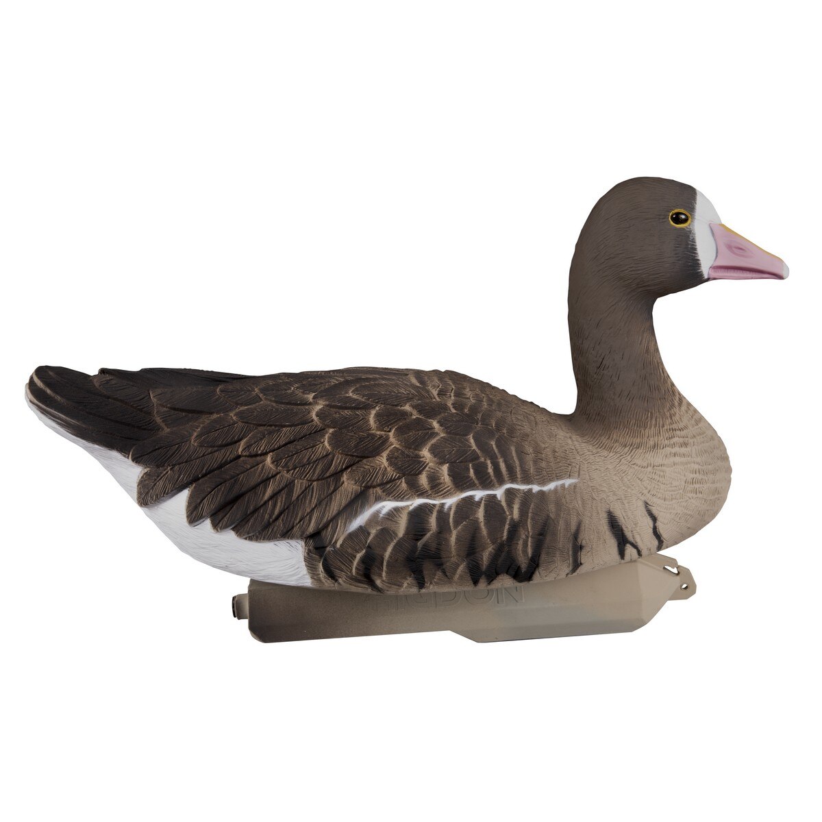 306308 Upright/High - Specklebelly Goose